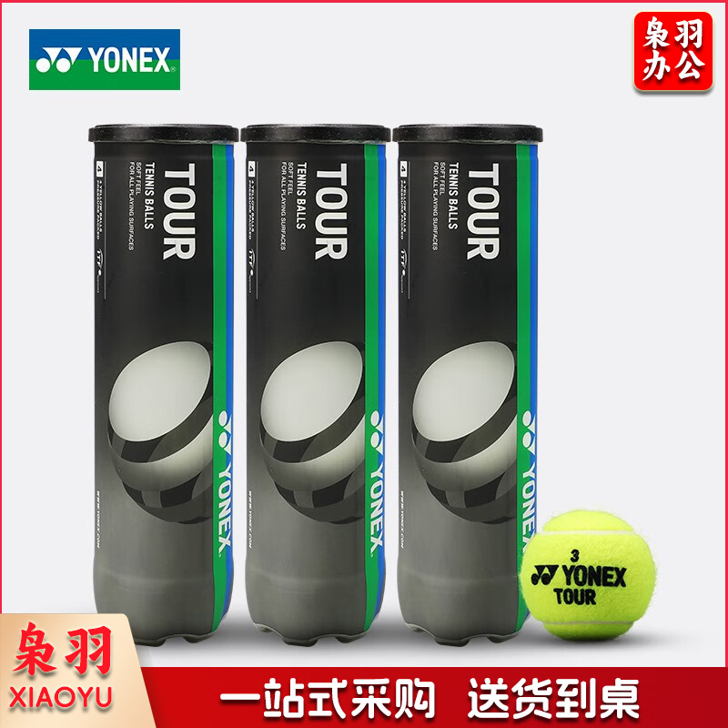 尤尼克斯(YONEX) 网球专业高弹力耐打训练比赛用球 TB-TR4 yy运动训练公开赛用球胶罐