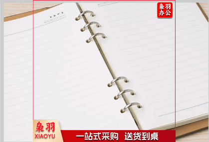 A5活页纸 可替换内芯 学习笔记本活页内芯