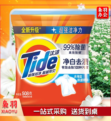 汰渍洗衣粉净白去渍508g小袋小包装无磷强效去油去渍家庭整箱批发团购 汰渍洗衣粉508g*1包