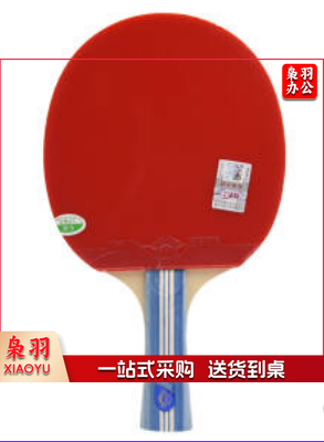 乒乓球拍横拍长柄3星 友谊金三星兵兵球拍双面反胶
