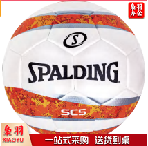 斯伯丁 足球 64-980Y  5#