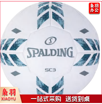 斯伯丁 足球  64-987Y  5#