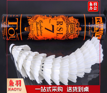 羽毛球 亚狮龙 7