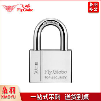 飞球（Fly.Globe）挂锁 防水防锈门锁工具箱包锁防盗窗锁小锁头30mm