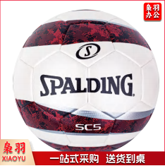 斯伯丁 足球 64-936Y  5#