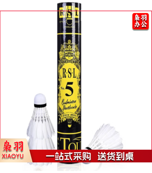 羽毛球 亚狮龙5