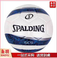 斯伯丁 足球 64-934Y  5#