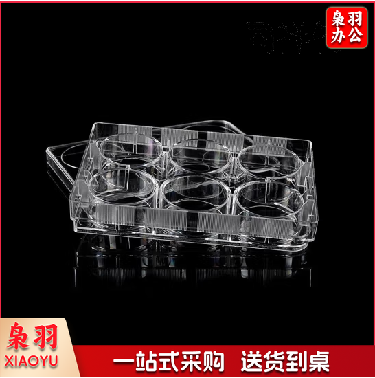 生物科学研究实验室用品塑料PP材质反应皿酶标板培养皿细菌细胞培养板6孔（10个） 603811