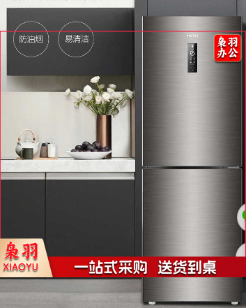 海尔两门冰箱272升