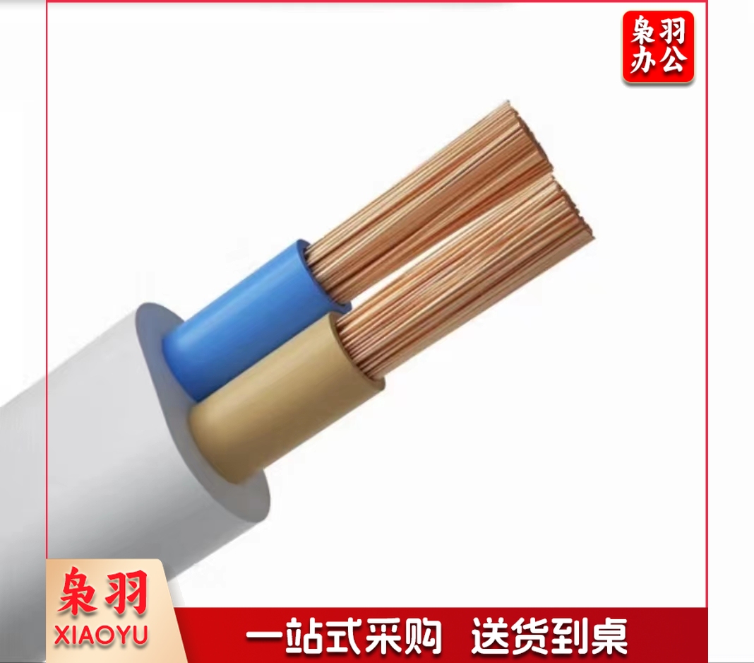 插座电源线两芯包皮线护套线国标rvv电缆线 1米