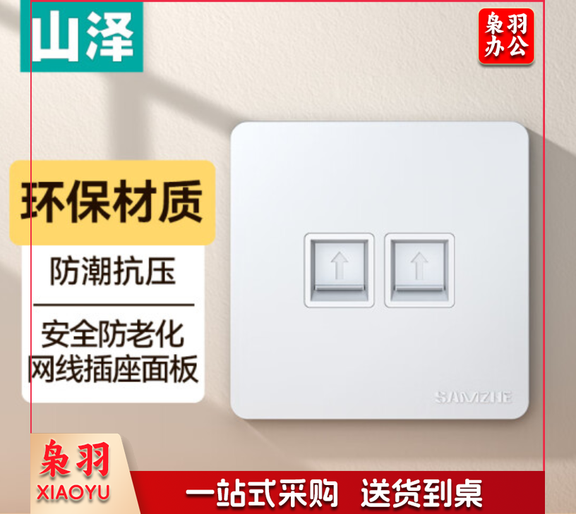 山泽（SAMZHE）电脑插座网线口网络双口面板