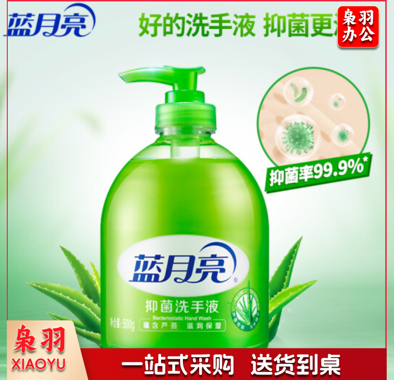蓝月亮抑菌洗手液500g 双瓶装