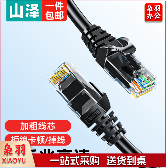 山泽（SAMZHE）六类网线 10米 CAT6类千兆网络连接线工程家用电脑笔记本路由器宽带监控电脑网络8芯双绞成品跳线
