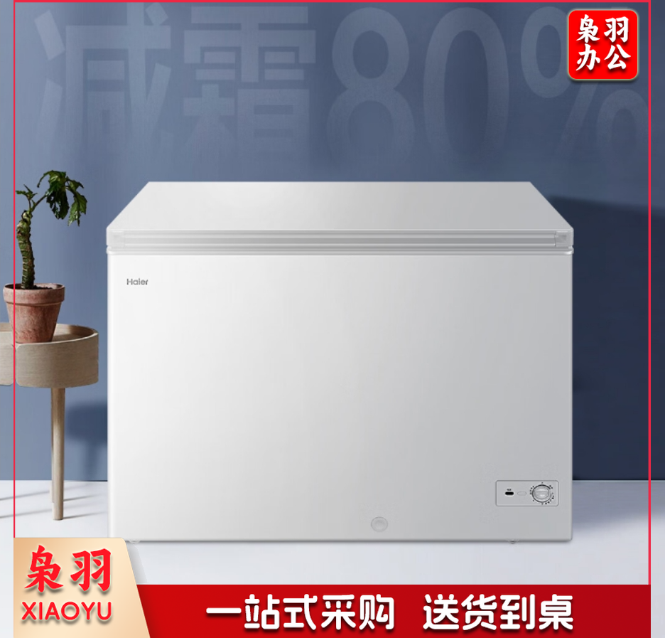 海尔(Haier)300升低霜卧式商用家用冰柜 商用大容量 冷藏柜大冷冻柜冰柜家用冰箱大冷柜BC/BD-300GHD