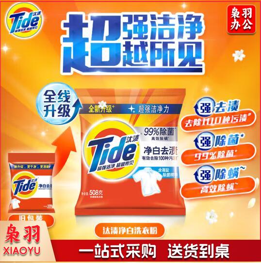 汰渍洗衣粉 净白去渍 508g*1袋