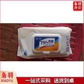75%酒精湿巾 便携式杀菌消毒湿巾纸巾 80片/包