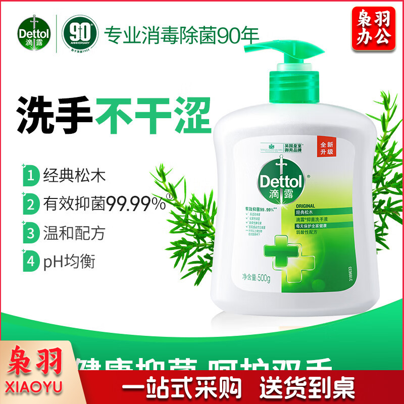 滴露(Dettol)健康抑菌洗手液松木500g瓶 消毒抑菌 清爽去油