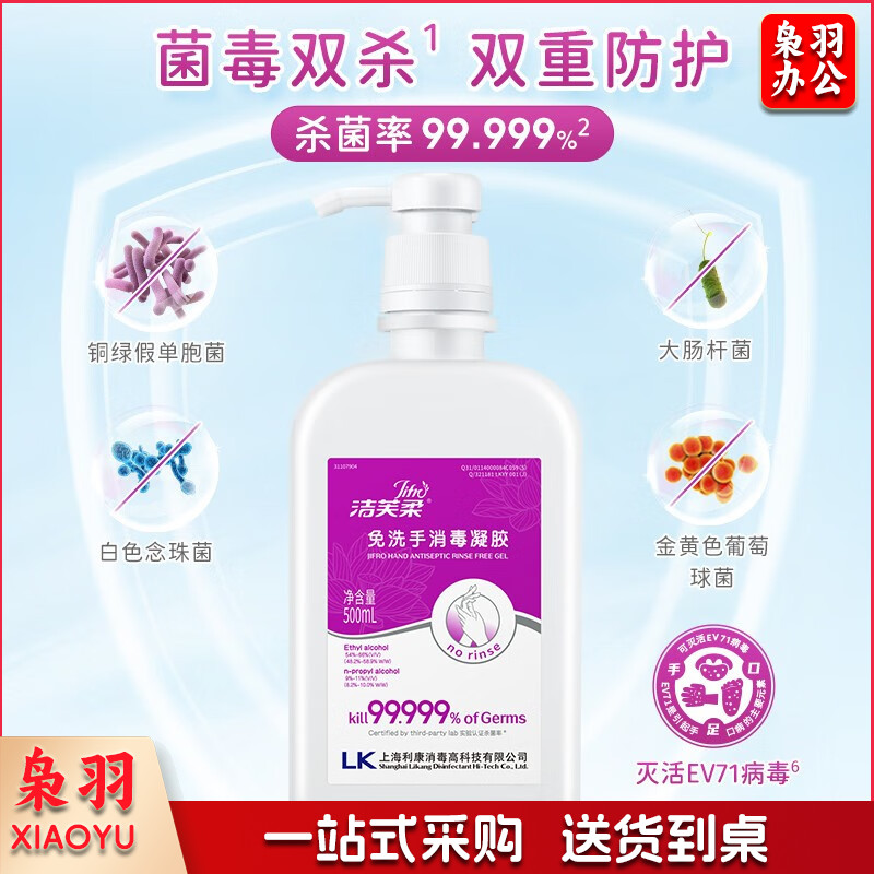 免洗洗手液（洁芙柔免洗洗手液500ml II）