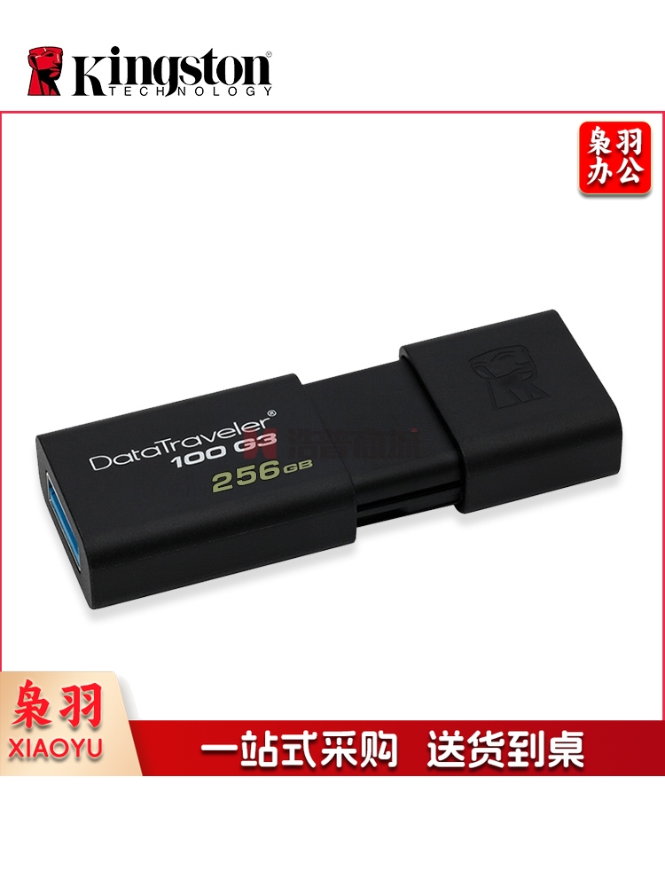 金士顿U盘 256