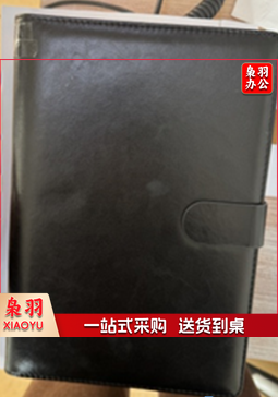 大活页本 B5 9孔