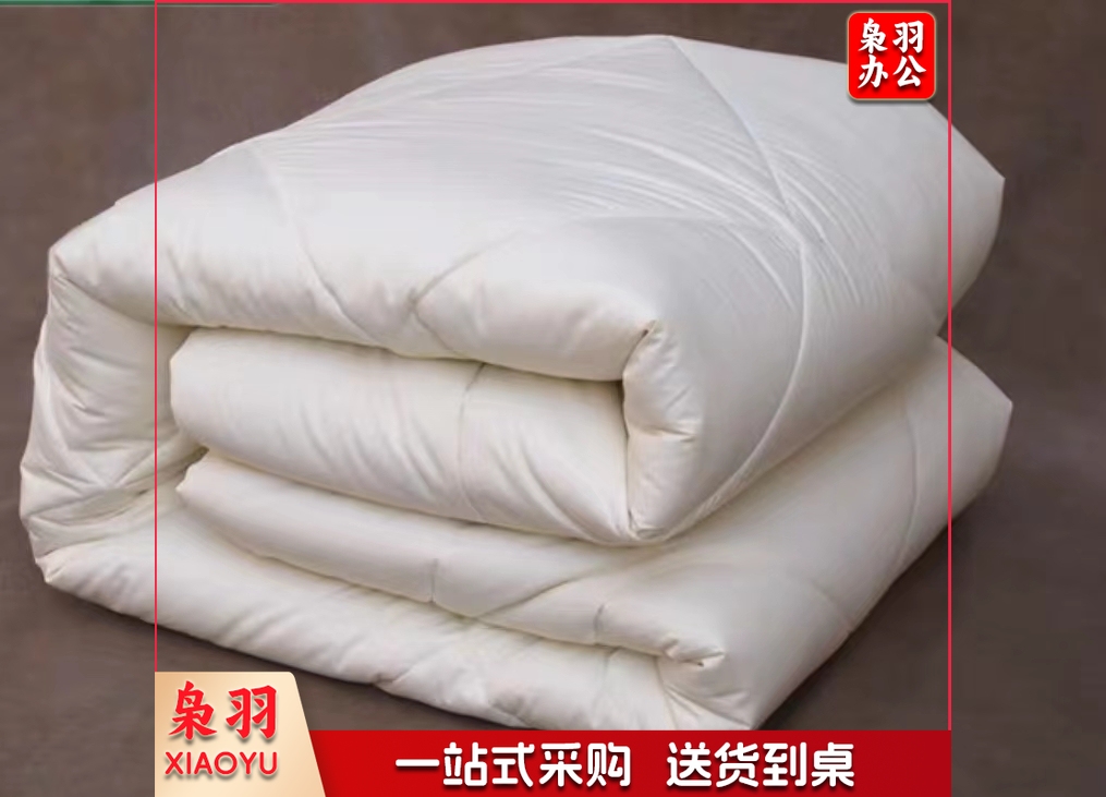 羽丝被芯   规格：1.8米*2.3米  单位：条