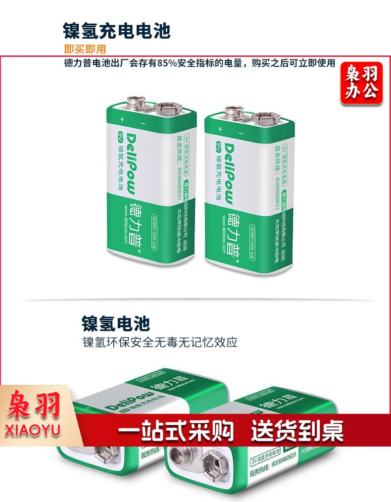 德力普 Delipow 9V充电电池 九伏9号6f22方形电池 适用话筒 麦克风 电吉他 万用表等 2.jpg