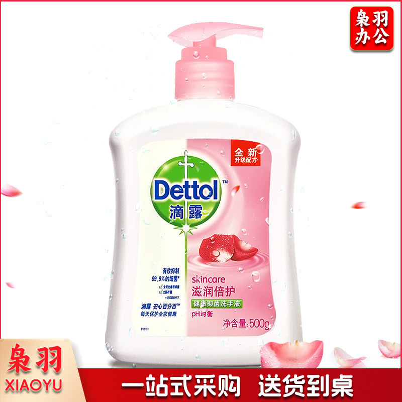 滴露洗手液 滋润倍护健康抑菌洗手液 500g