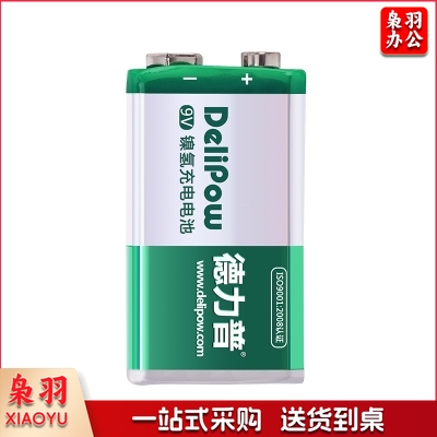 德力普 Delipow 9V充电电池 九伏9号6f22方形电池 适用话筒 麦克风 电吉他 万用表等