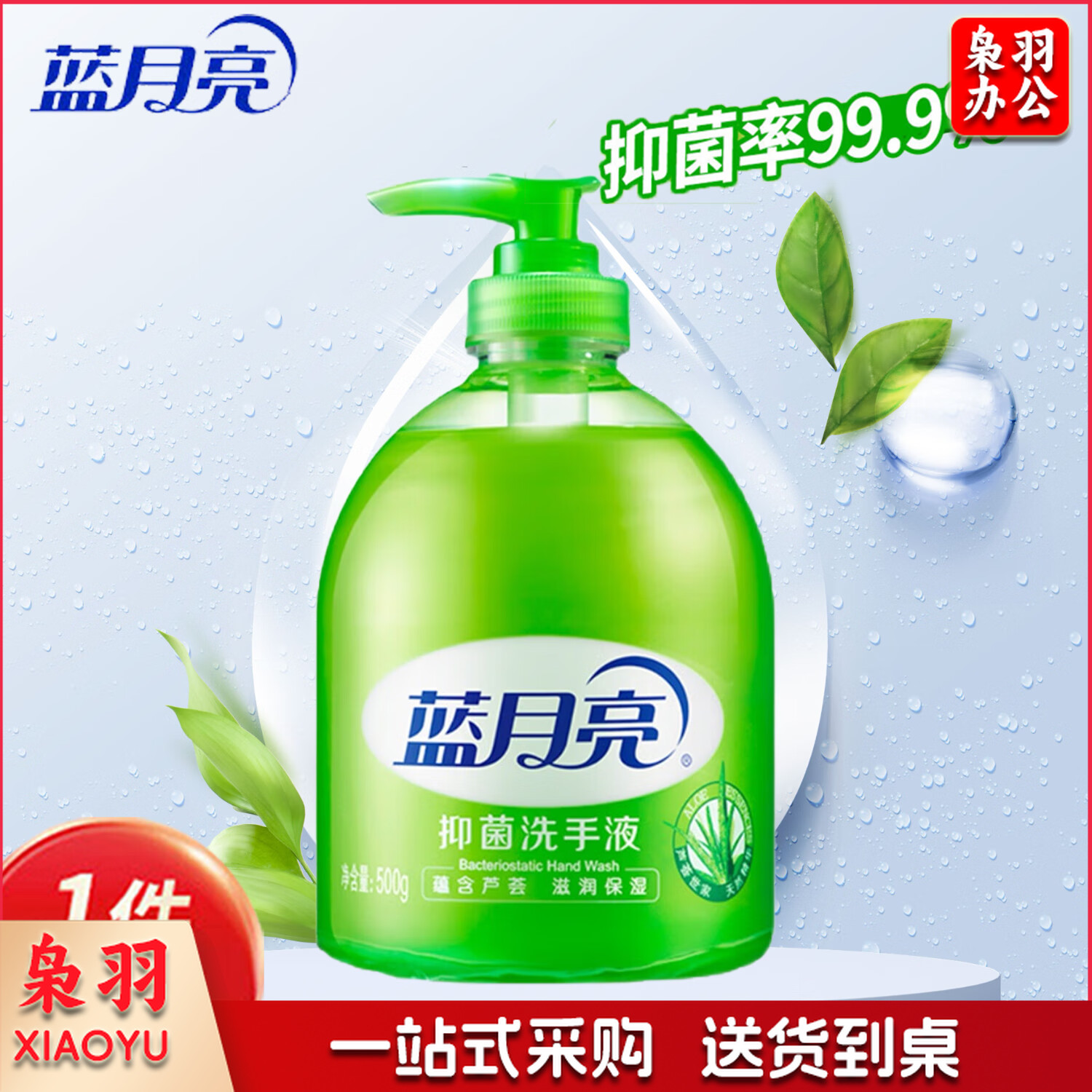 蓝月亮 BLUEMOON 芦荟抑菌洗手液 500ml瓶装