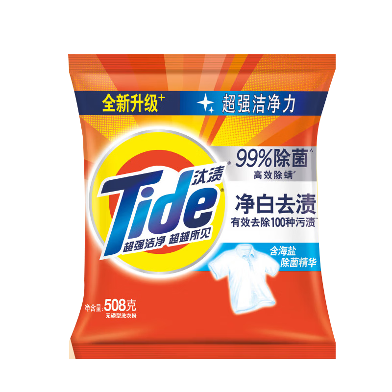 汰渍 洗衣粉(小袋)508克/袋