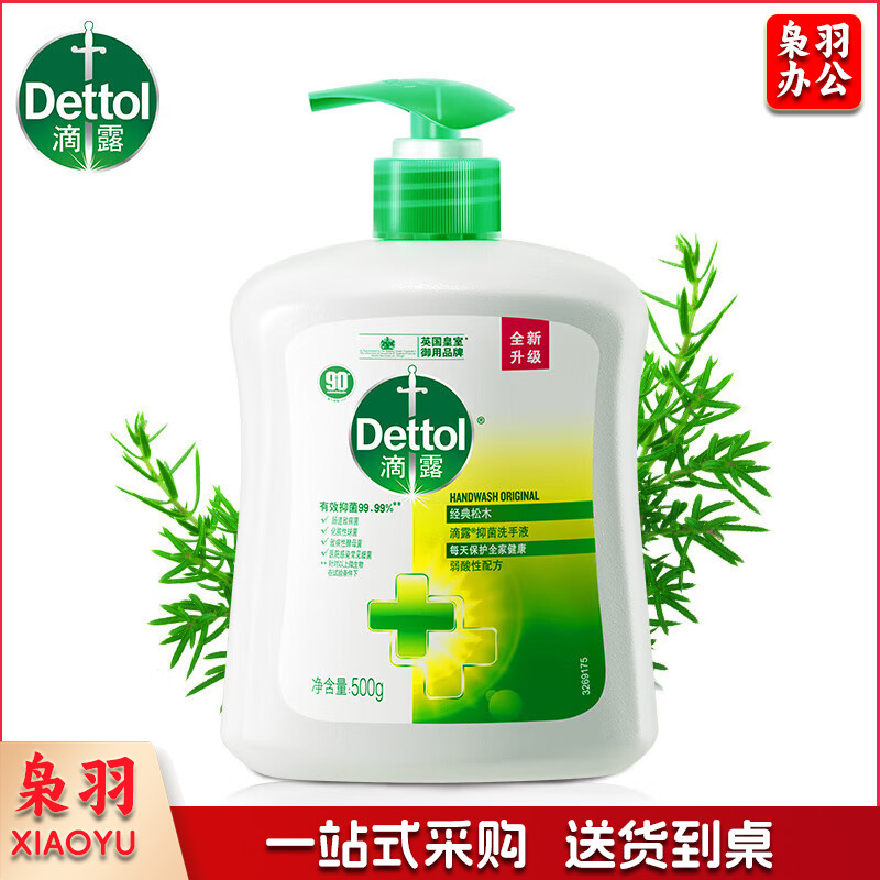 滴露洗手液 健康抑菌经典松木香500g