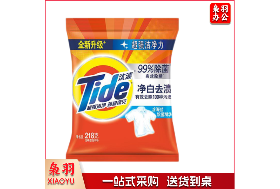 汰渍净白去渍洗衣粉 218g