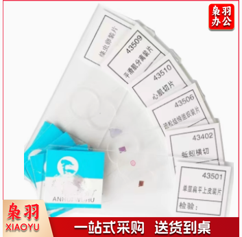 疏松结缔组织装片