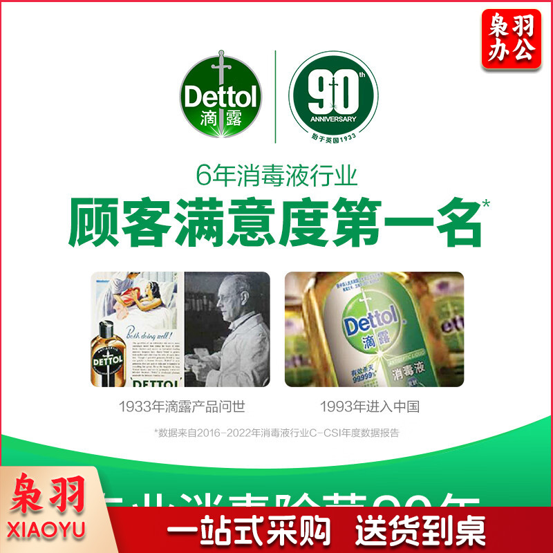 滴露（Dettol）健康抑菌洗手液松木500g瓶 消毒抑菌 清爽去油