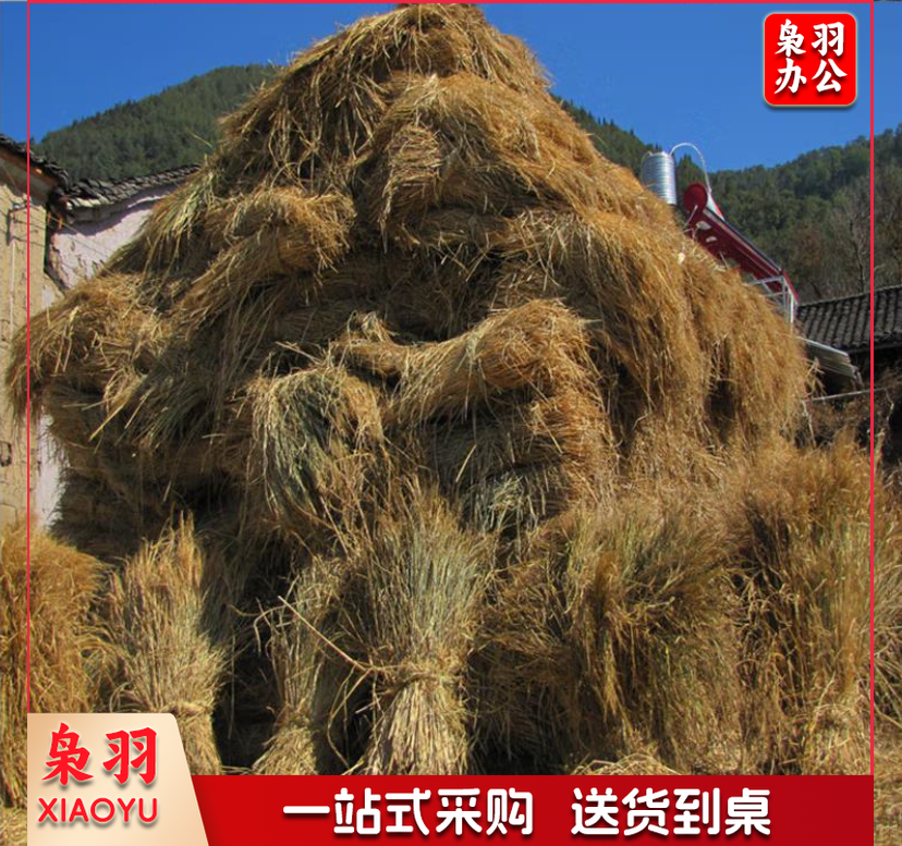 草绳 稻草 草帘大棚保温草帘 干稻草 (1000斤起送下单前请来电咨询)