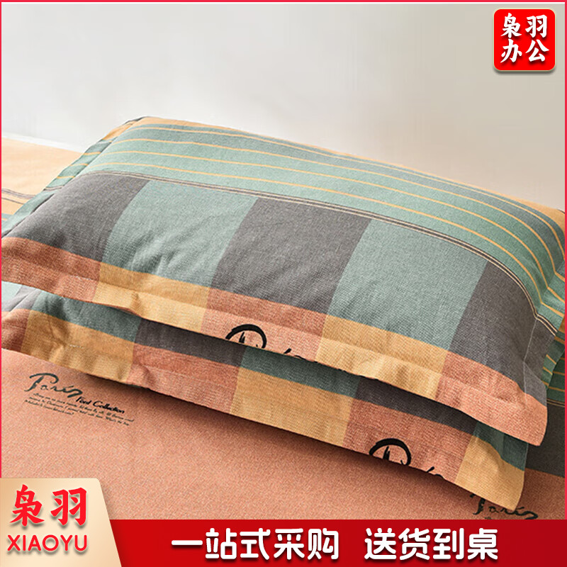 枕头+枕套（套）