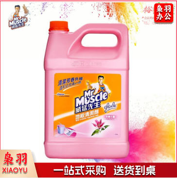威猛先生（Mr Muscle）地板清洁剂 3.785L 花香 浓缩配方 瓷砖 木地板 除菌除垢