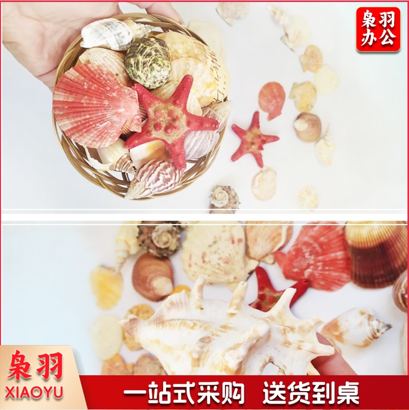 幼儿园DIY手工制品 贝壳套装 海洋品 混装 (袋装)