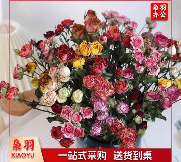 天然真花家居插花装饰diy手工活动干花材软装蔷薇混搭40朵左右 送配草