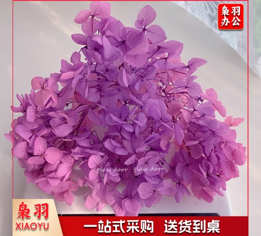 永生花绣球渐变色手工diy干花婚鞋贴脸玻璃罩花器团建活动花艺课安娜粉紫渐变5克