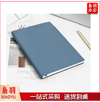A5/96张笔记本子文具皮面本会议本记事本 商务办公马卡龙蓝GBP25669
