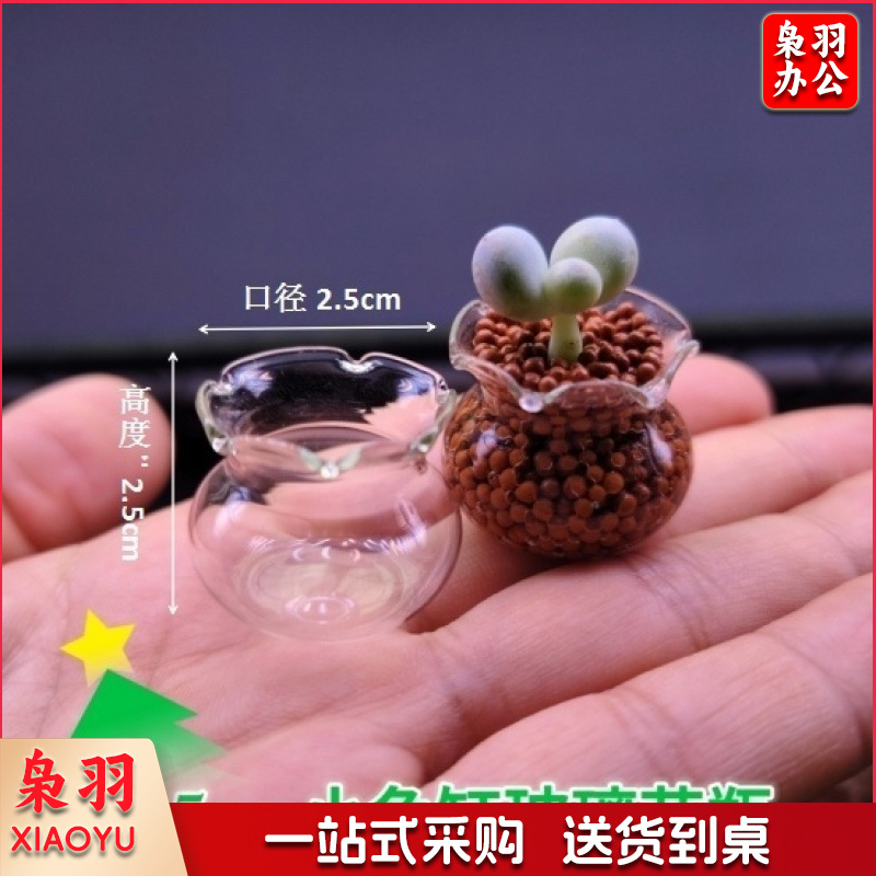 【多肉花盆迷你玻璃】花边鱼缸拇指盆高颜值花园阳台超萌可爱清新2.5*2cm多肉玻璃瓶