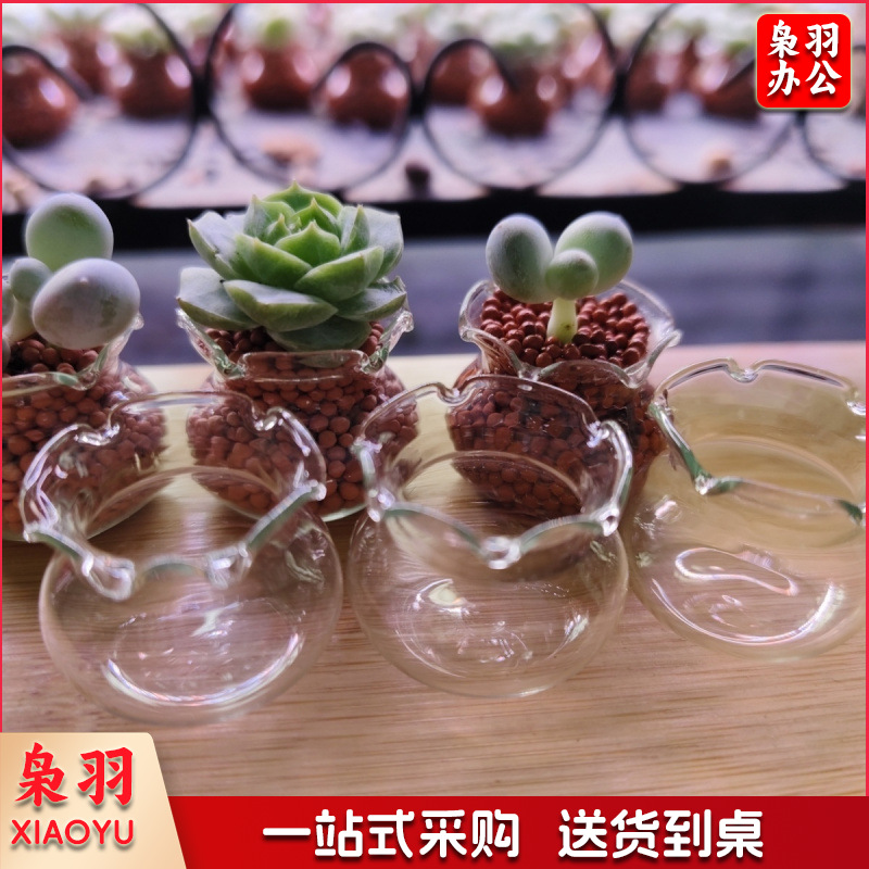 【多肉花盆迷你玻璃】花边鱼缸拇指盆高颜值花园阳台超萌可爱清新2.5*2cm多肉玻璃瓶