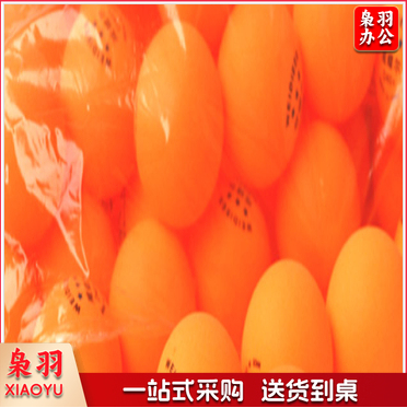 安格耐特 乒乓球 6个球装