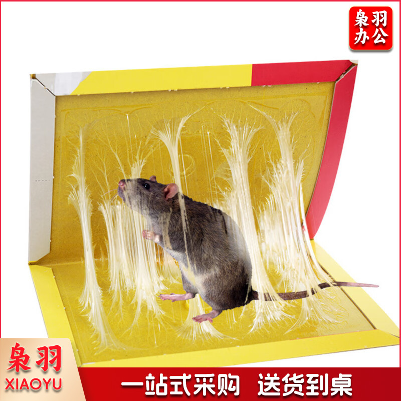 强力粘鼠板老鼠贴超强力粘板加厚灭鼠老鼠一窝端神器家用黏鼠10片