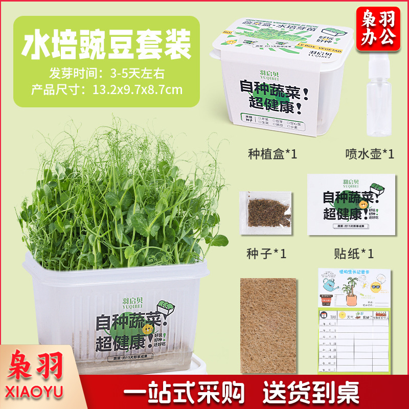 创意盆栽水培阳光种植房儿童玩具科学实验套装植物生长观察盒diy基础款（升级款 ）