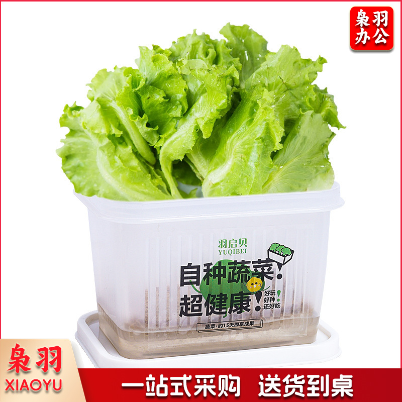 创意盆栽水培阳光种植房儿童玩具科学实验套装植物生长观察盒diy基础款（无字盒子/毛毡、种子）