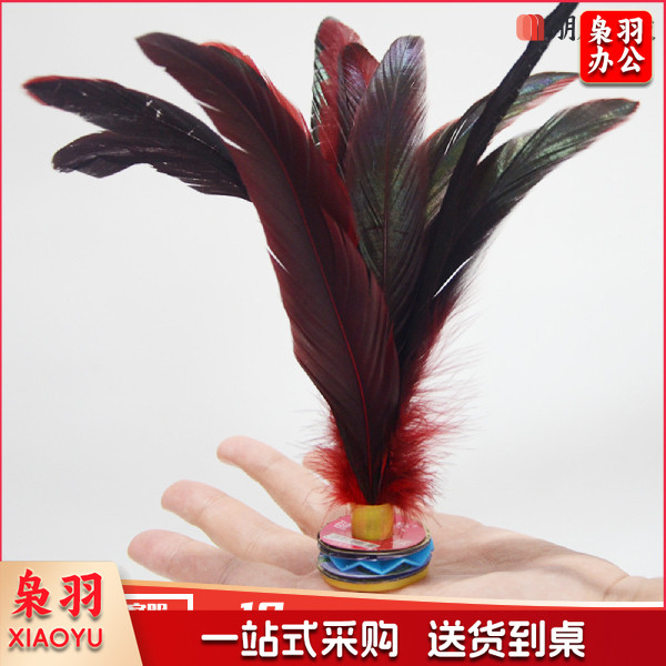 毽子 大公鸡毛比赛专用毽羽毛耐踢毛毽球鸡毛毽子(10个起售)