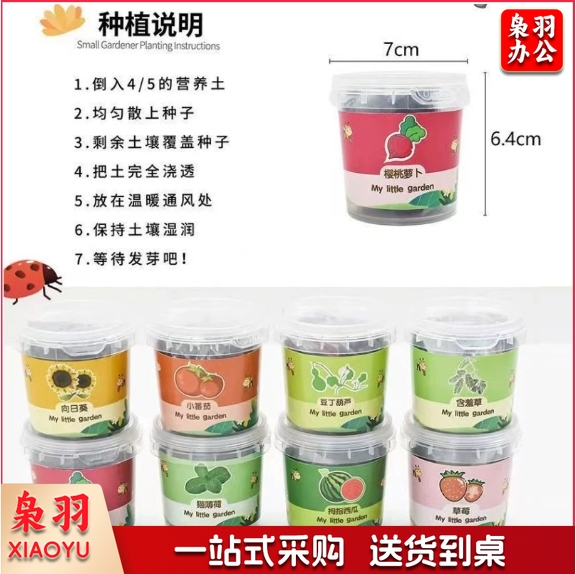 儿童种植小盆栽太阳花向日葵草莓花种籽子植物生长观察蔬菜种子（小塑罐）