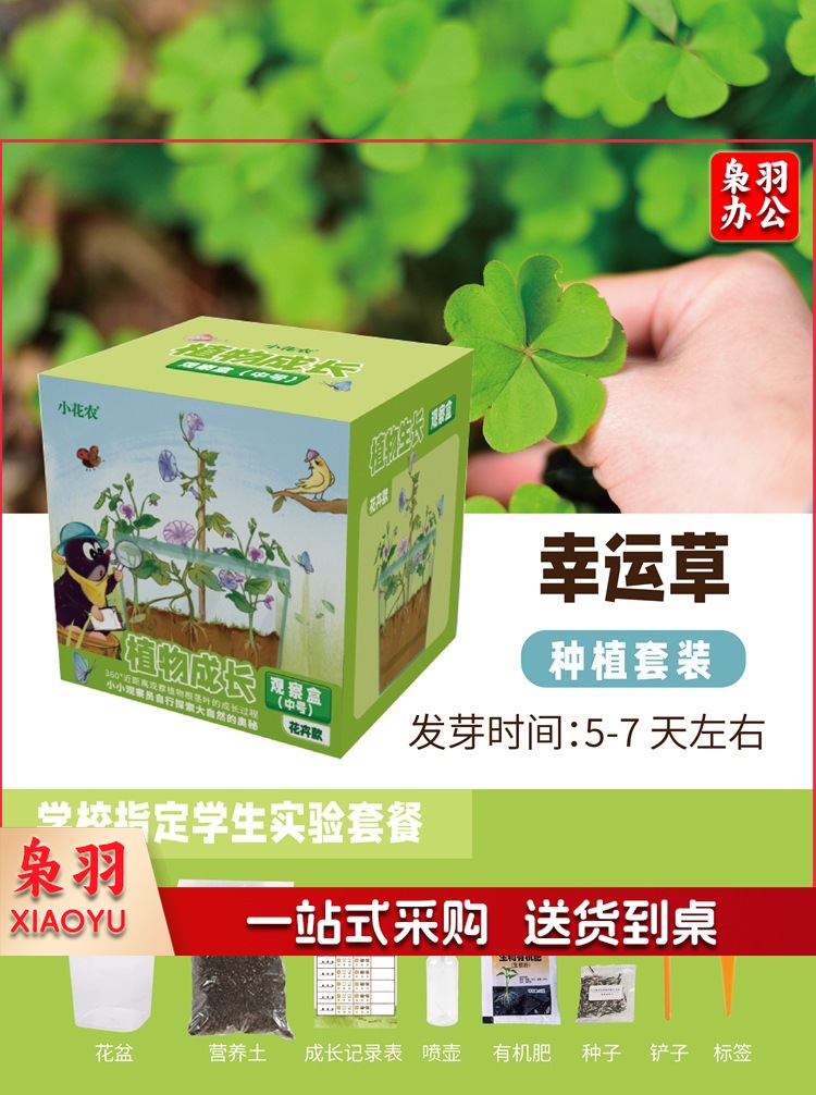 幼儿园学生劳动课学种植物根系生长透明观察盒儿童菜种子发芽记录（含羞草种植套装12.5*11.5*13CM）